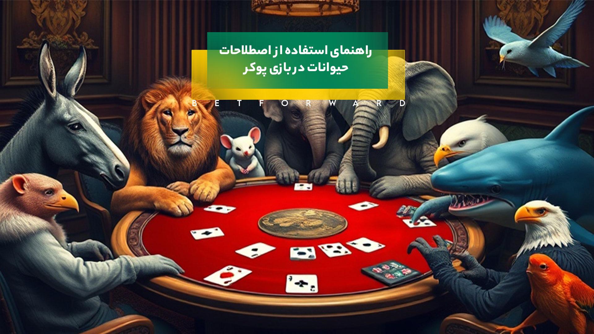 حیوانات در بازی پوکر